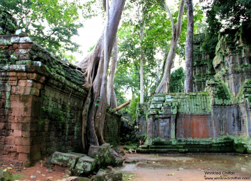 ta-prohm