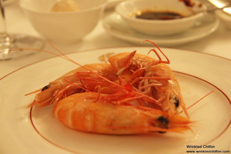 shrimp9
