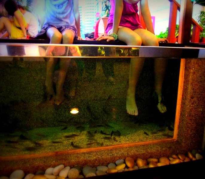 fishy-pedi