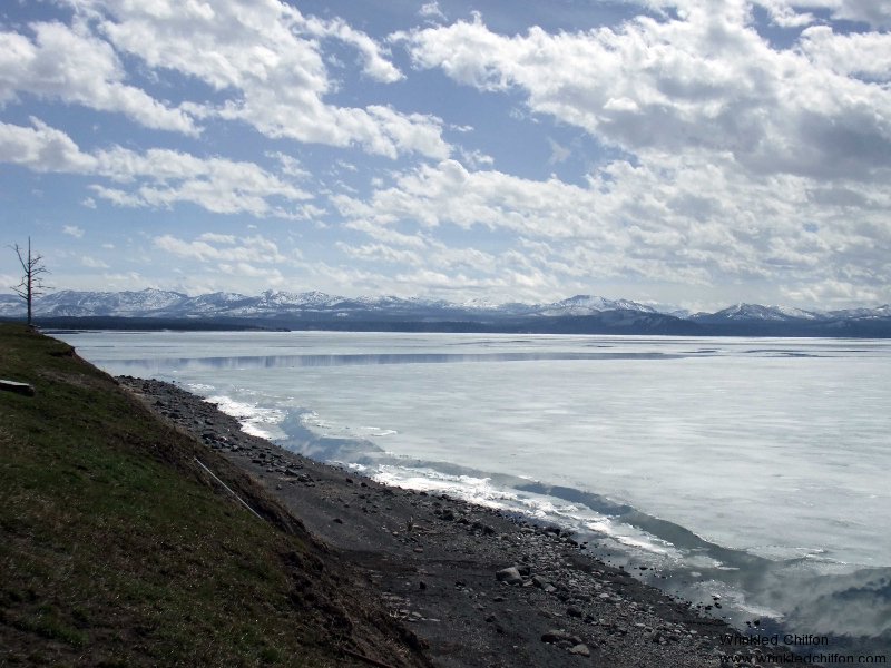 yellowstone