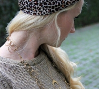 leopard-6